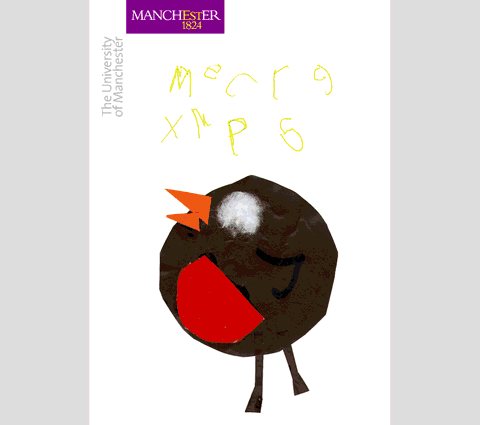 Sample of publications carried out for UMIST and the University of Manchester